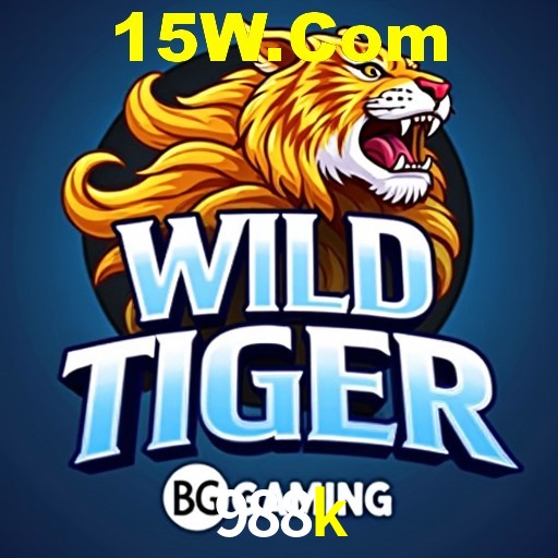 Login Seguro 988k